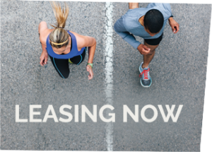 Leasing Now | The Livingstone Apartments | 1 & 2 Bedroom Apartments in West Seattle | Seattle, WA 98106